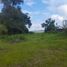  Land for sale in Salento, Quindio, Salento