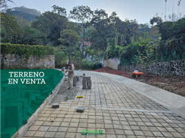  Grundstück zu verkaufen in Valle De Bravo, Mexico, Valle De Bravo
