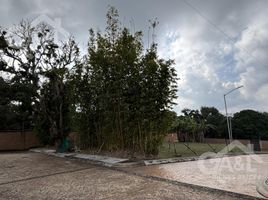 在Coatepec, Veracruz出售的 土地, Coatepec