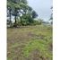  Land for sale in Santa Rosa, Chiriqui, Santa Rosa, Bugaba
