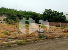  Land for sale in Manabi, Manta, Manta, Manabi