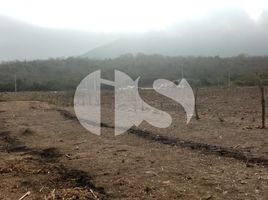  Terreno (Parcela) en venta en Montecristi, Manabi, Montecristi, Montecristi