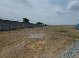  Land for sale in San Jacinto De Yaguachi, Guayas, San Jacinto De Yaguachi, San Jacinto De Yaguachi