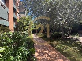 在智利出租的 住宅, Santiago, Santiago, Santiago, 智利