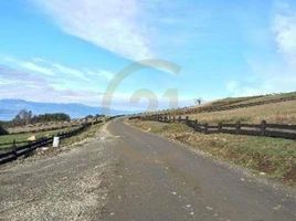 1 Habitación Casa en venta en Los Ríos, Futrono, Ranco, Los Ríos