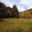  Terreno (Parcela) en venta en Cautín, Araucanía, Pucón, Cautín