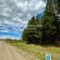  Land for sale in Lacar, Neuquen, Lacar