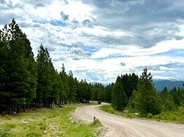  Land for sale in Lacar, Neuquen, Lacar