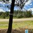  Land for sale in Neuquen, Lacar, Neuquen