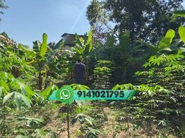  Land for sale in Cunduacan, Tabasco, Cunduacan, Tabasco