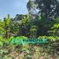  Land for sale in Cunduacan, Tabasco, Cunduacan