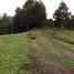  Terreno (Parcela) en venta en Loncoche, Cautín, Loncoche