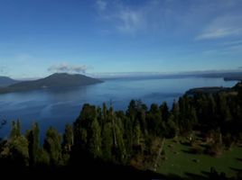  Terreno (Parcela) en venta en Loncoche, Cautín, Loncoche