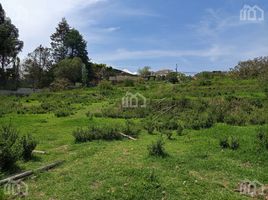  Land for sale in Alangasi, Quito, Alangasi