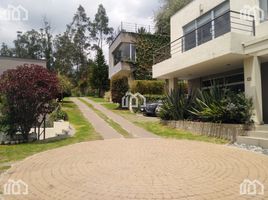 1 Bedroom House for rent in Pichincha, Nayon, Quito, Pichincha