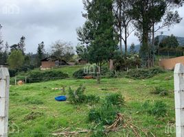  Terreno (Parcela) en alquiler en San Joaquin, Cuenca, San Joaquin