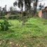  Terreno (Parcela) en alquiler en San Joaquin, Cuenca, San Joaquin