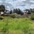  Land for rent in Azuay, Cuenca, Cuenca, Azuay