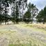  Land for sale in Cuenca, Azuay, Cuenca, Cuenca, Azuay