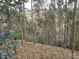  Terreno (Parcela) en venta en Rumiñahui, Pichincha, Sangolqui, Rumiñahui