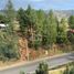  Land for sale in Tarqui, Cuenca, Tarqui