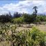  Terreno (Parcela) en alquiler en Pichincha, Tumbaco, Quito, Pichincha