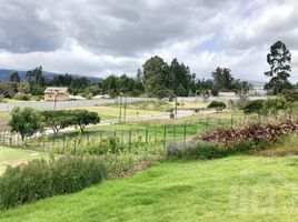  Terreno (Parcela) en venta en Quito, Pichincha, Tumbaco, Quito