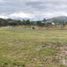  Terreno (Parcela) en venta en Quito, Pichincha, Tumbaco, Quito