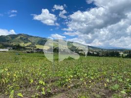  Land for sale in Yaruqui, Quito, Yaruqui