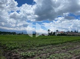  Land for sale in Yaruqui, Quito, Yaruqui