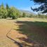  Terreno (Parcela) en venta en Ñuble, Coihueco, Punilla, Ñuble