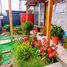 2 Habitación Casa en venta en Cordillera, Santiago, Pirque, Cordillera