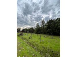 Estudio Casa en venta en Maule, Colbun, Linares, Maule