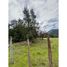 Estudio Casa en venta en Maule, Colbun, Linares, Maule