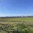  Land for sale in Romeral, Maule, Romeral, Curico