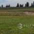  Terreno (Parcela) en venta en Chile, Purranque, Osorno, Los Lagos, Chile