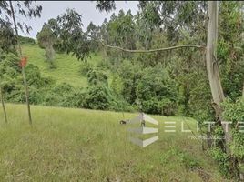  Terreno (Parcela) en venta en Chile, Saavedra, Cautín, Araucanía, Chile