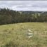  Terreno (Parcela) en venta en Chile, Saavedra, Cautín, Araucanía, Chile
