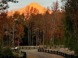 Terreno (Parcela) en venta en Chile, Villarrica, Cautín, Araucanía, Chile