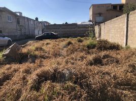  Grundstück zu verkaufen in Toluca, Mexico, Toluca