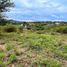  Land for sale in Punilla, Cordoba, Punilla