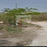 Terrain à vendre à Carmen, Campeche, Carmen