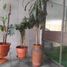 2 Bedroom Apartment for sale in Azcapotzalco, Mexico City, Azcapotzalco