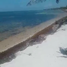  Land for sale in Felipe Carrillo Puerto, Quintana Roo, Felipe Carrillo Puerto