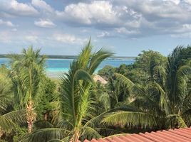  Terrain for sale in Othon P Blanco, Quintana Roo, Othon P Blanco