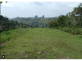  Terreno (Parcela) en venta en Risaralda, Santa Rosa De Cabal, Risaralda