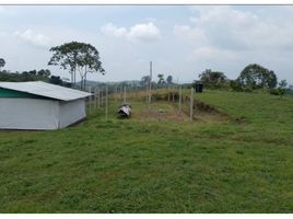  Grundstück zu verkaufen in Santa Rosa De Cabal, Risaralda, Santa Rosa De Cabal