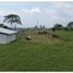  Terreno (Parcela) en venta en Risaralda, Santa Rosa De Cabal, Risaralda