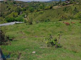  Terreno (Parcela) en venta en Penol, Antioquia, Penol