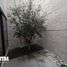 Maison 2 chambre à vendre à San Luis Potosi, San Luis Potosi, San Luis Potosi, San Luis Potosi